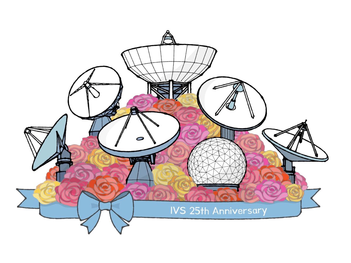 A bouquet containing flowers and the antennas of the IVS